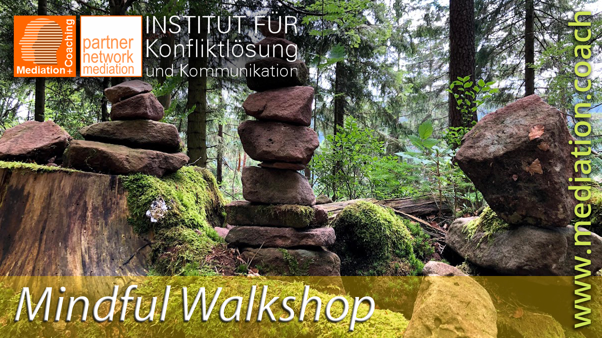 Achtsamkeit in der Natur: Mediation und Waldbaden – Wege zu innerem Frieden