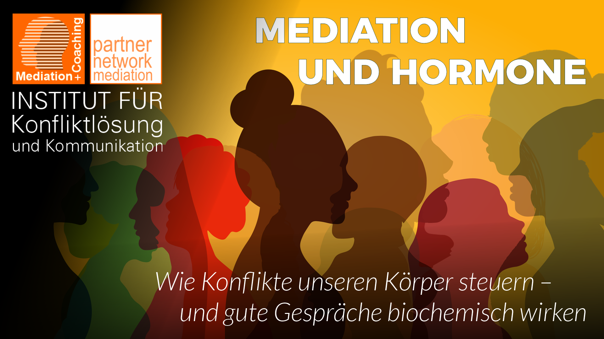 Mediation und Hormone – Wie Konflikte unseren Körper steuern